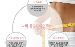 쉽게하는 다이어트로 멋진 몸매를 찾으세요