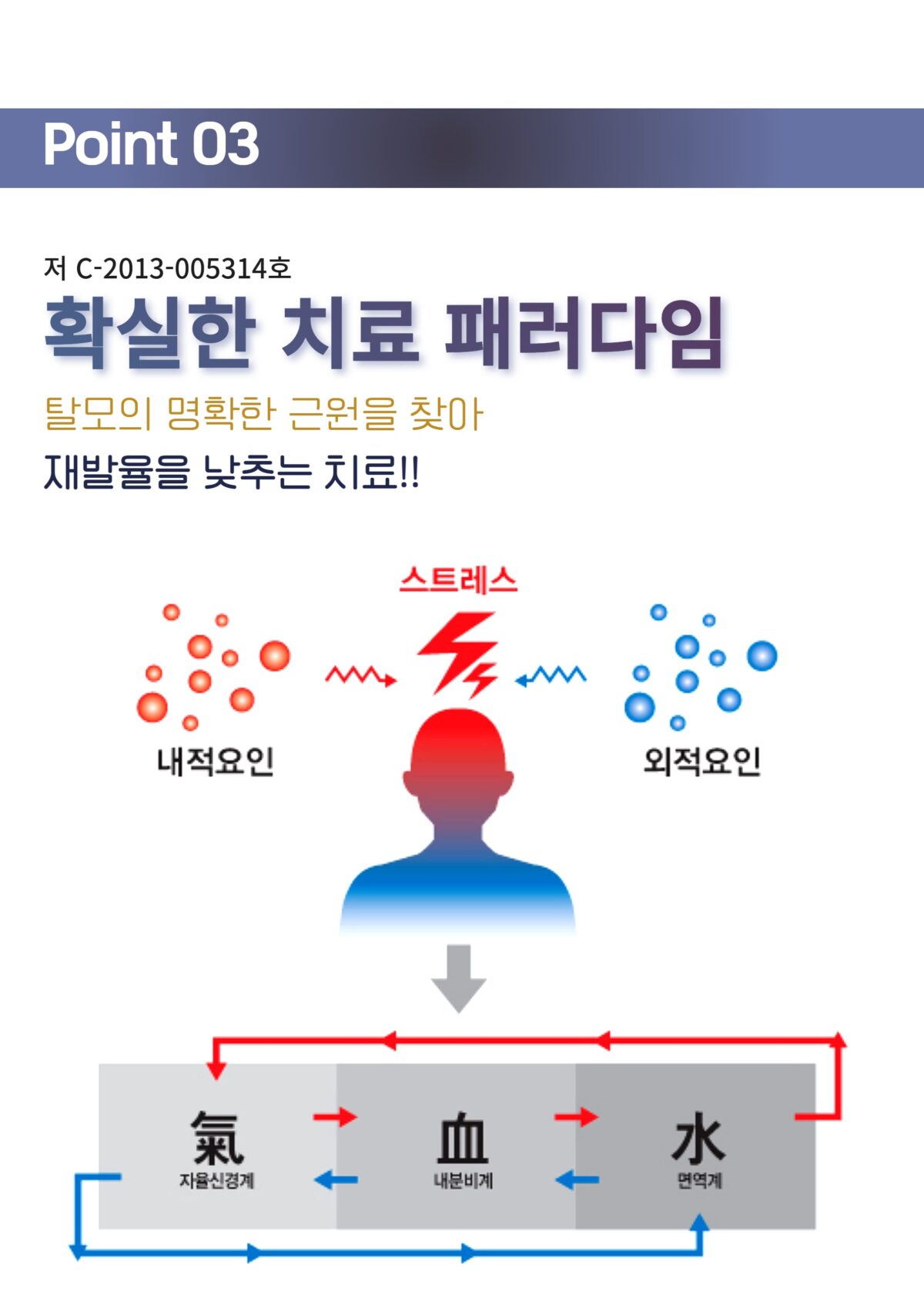 여성탈모약