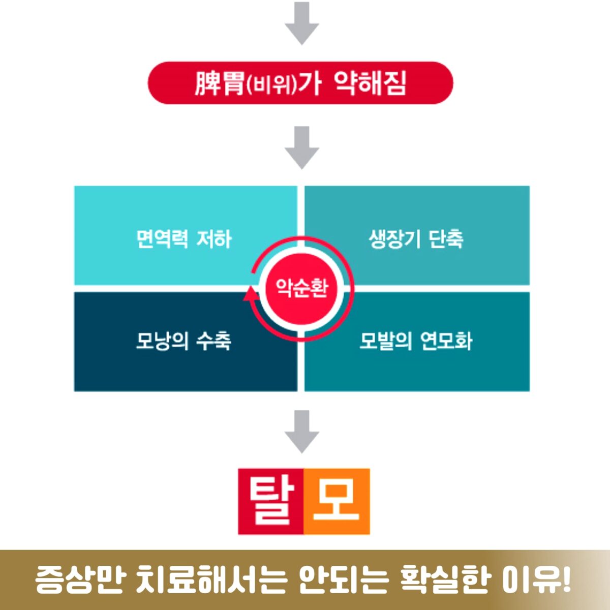 여성형탈모약