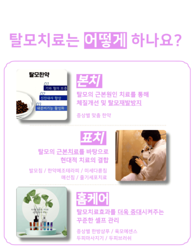 탈모